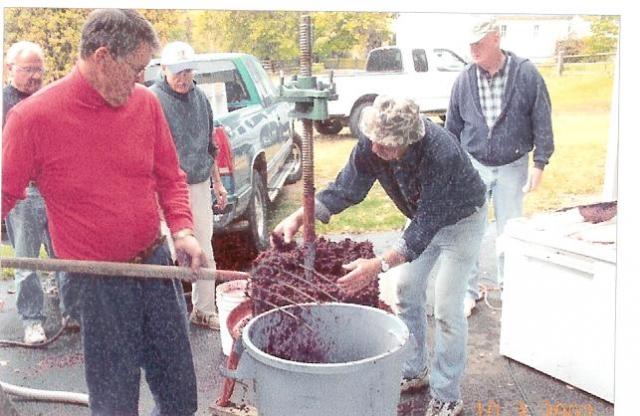 Dick Gray working in the grapes for making wine